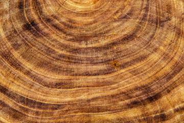 Fototapeta premium wood background