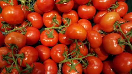 Tomaten