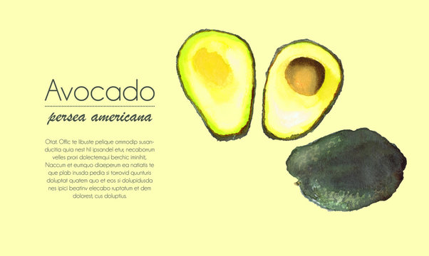 Avocado, watercolor on yellow background, space for your text