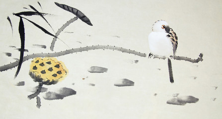 Chinese traditional painting of birds