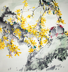 Chinese traditional painting of birds
