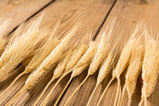 large amount of wheat on wooden table. close up