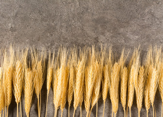 large amount of wheat on stone background. close up