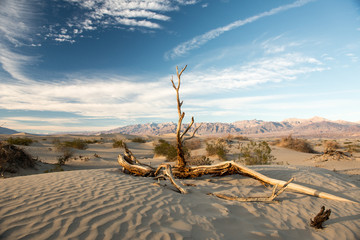 Death Valley National Park