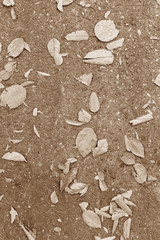 Leaves on roadside, vintage style background