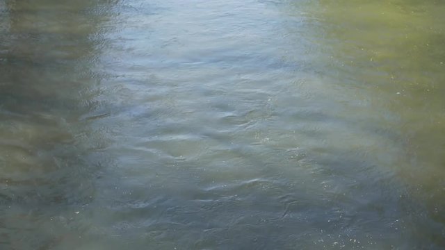 water flow in the river with trees