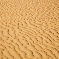 in oman the old desert and the empty quarter abstract texture line wave