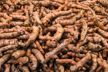 Turmeric roots close up display in the fresh vegetable market