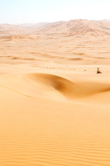 in oman  desert  outdoor  sand dune