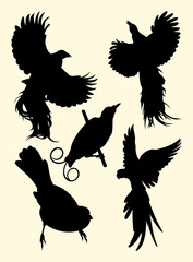 Parrot, birds of paradise, hummingbirds silhouette. Good use for symbol, logo, web icon, mascot, sign, or any design you want.