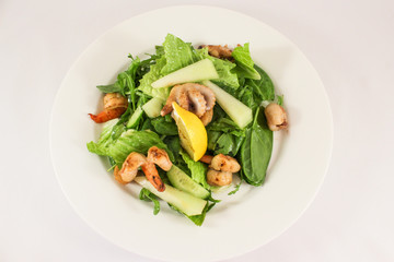 Sea salad with scallops, prawns, squid, cuttlefish, in duet with lettuce and cucumber, seasoned with olive oil and Provence herbs