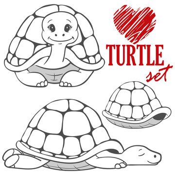 set of black&white cartoon turtles isolated on white background. animal vector sketch. Children illustration. turtle symbol