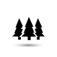 Obraz premium fir-tree . line vector icon