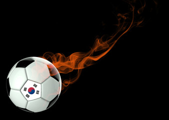 Fototapeta premium 3D illustration Soccer Ball Korea Flag