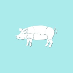 Pig icon