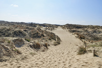 Footprints on the sand dunes