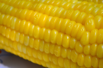 Ear of corn - food background
