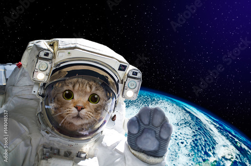 Кот-космолет космонавт кот юмор скачать