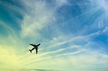 The plane flies in the sky against the background of clouds