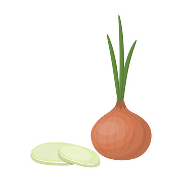 Green Onion With Leaves.Burgers And Ingredients Single Icon In Cartoon Style Vector Symbol Stock Illustration.