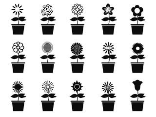 pot flower plants icon set