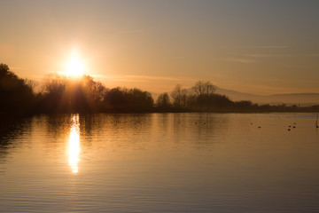 Beautiful sunset at the lake, with trees and sun reflecting on water and birds