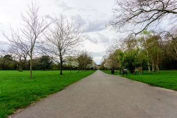 Fototapeta na wymiar Springtime in a park pathways and blossom lush foliage