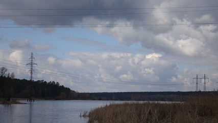 On the riverside grow tall dry grass. River view in cloudy weather.
