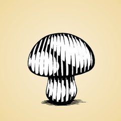 Ink Sketch of a Mushroom with White Fill