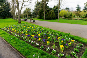 Obraz premium Springtime Flowers in a park