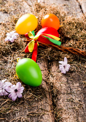 Easter eggs and flower on wooden table. Spring concept on plank.
