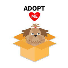 Adopt me. Dont buy. Shih Tzu Dog inside opened cardboard package box. Pet adoption. Puppy pooch red heart. Flat design. Help homeless animal concept. White background. Isolated.