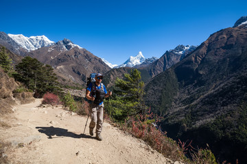 Obraz premium Trekker in lower Himalayas