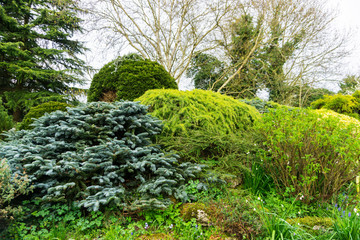 Springtime in a park pathways and blossom lush foliage