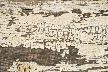 white wood texture background.