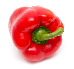 Juicy red paprika on a white background