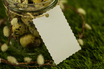 Jar filled with quail eggs standing on grass with pussy willow around it and a empty label with free text space