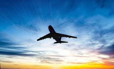 The plane flies in the sky against the background of clouds