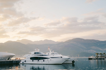 Naklejka na ściany i meble Yacht Porto Montenegro. Elite area of Tivat in Montenegro
