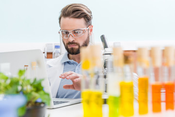 concentrated bearded scientist working with laptop in laboratory