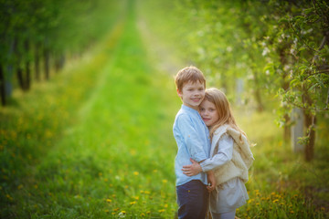 Fototapeta premium The brother hugs his little sister, standing in the middle of the spring green apple garden