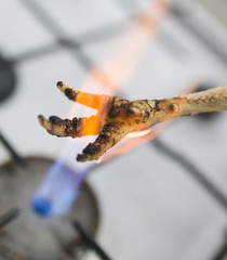 singeing chicken on fire