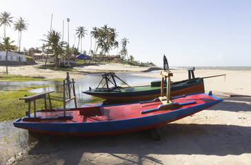 Fototapeta premium Praias Potiguares - Natal, Brasil