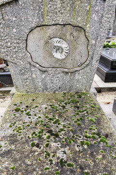 Tombe de Roger Caillois / Cimetière Du Montparnasse