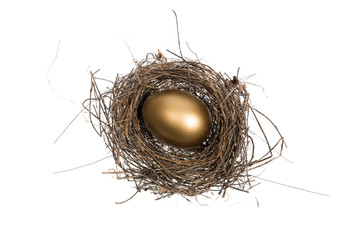 Golden egg inside a nest isolated on white background. Conceptual image for gold investment and business. 
