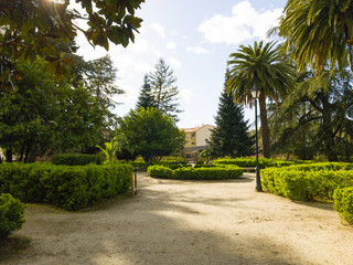 Fototapeta premium Urban public garden on Hervas, Spain