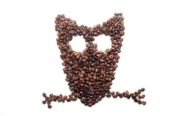 Owl made of coffee beans over white background