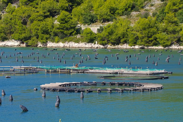 Fototapeta na wymiar Aquakultur - Marine open water fish farm