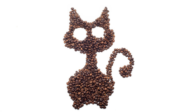 Cat made of coffee beans over white background