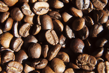 Coffee beans background